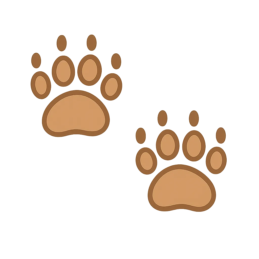 totbear fingerprints